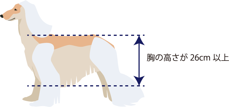 胸の高さ基準